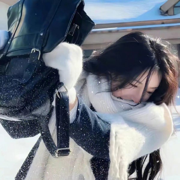 满清禁宫奇案