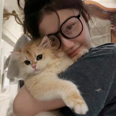 怪猫菲力兹